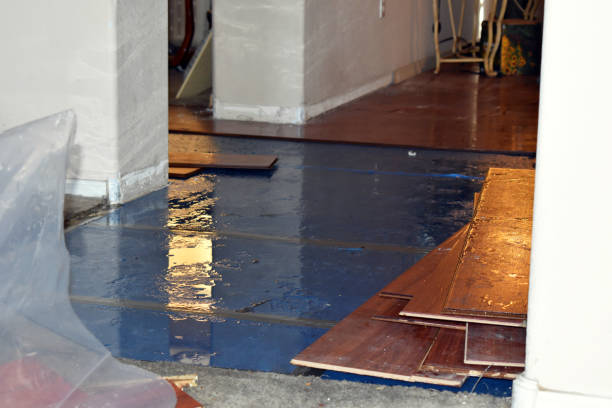 Professional Flood Cleanup technician working in Kensington, CA